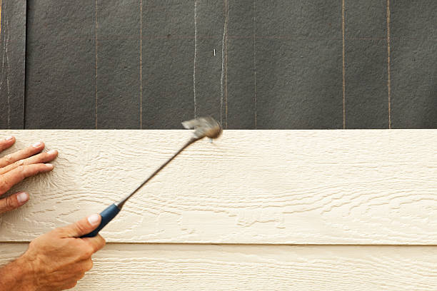 Best Stone Veneer Siding  in Cottonwood, AL